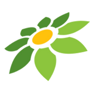 RAJA APK MOD